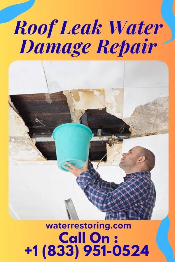 Roof Leak Water Damage Repair in Sunset, LA