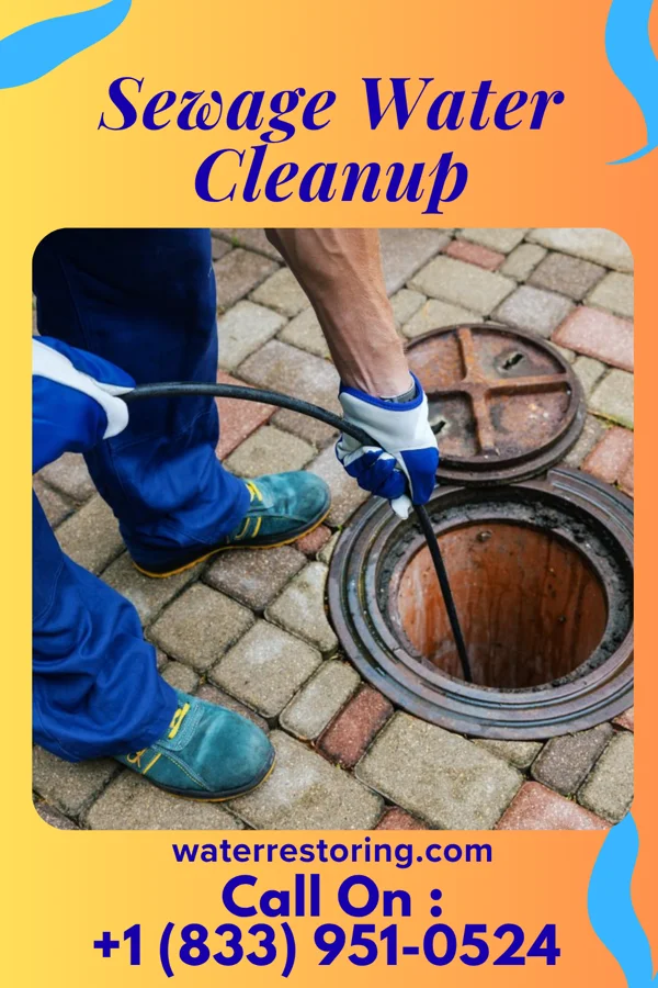 Sewage Water Cleanup in Sunset, LA